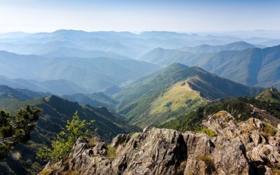 L’Économie sociale et solidaire, une chance pour tous les territoires 