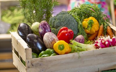 L’agriculture gardoise au service d’une alimentation de qualité