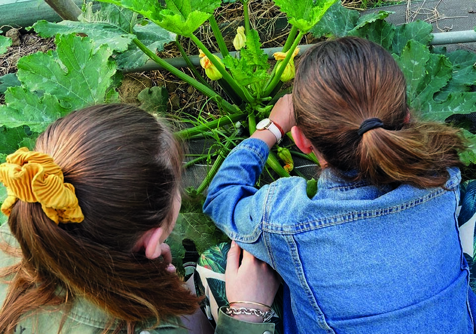 Sensibilisation au « bien manger »  au collège de Quissac