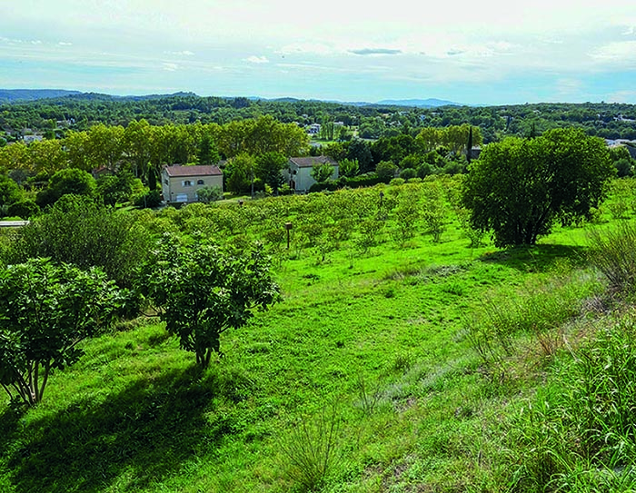 Canton d’Alès 3 : Vézénobres : agrandissement du verger conservatoire