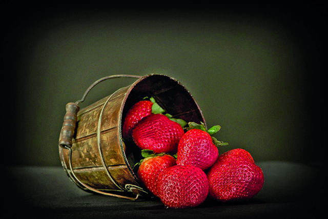 gardsinfos-fraise L’agneau