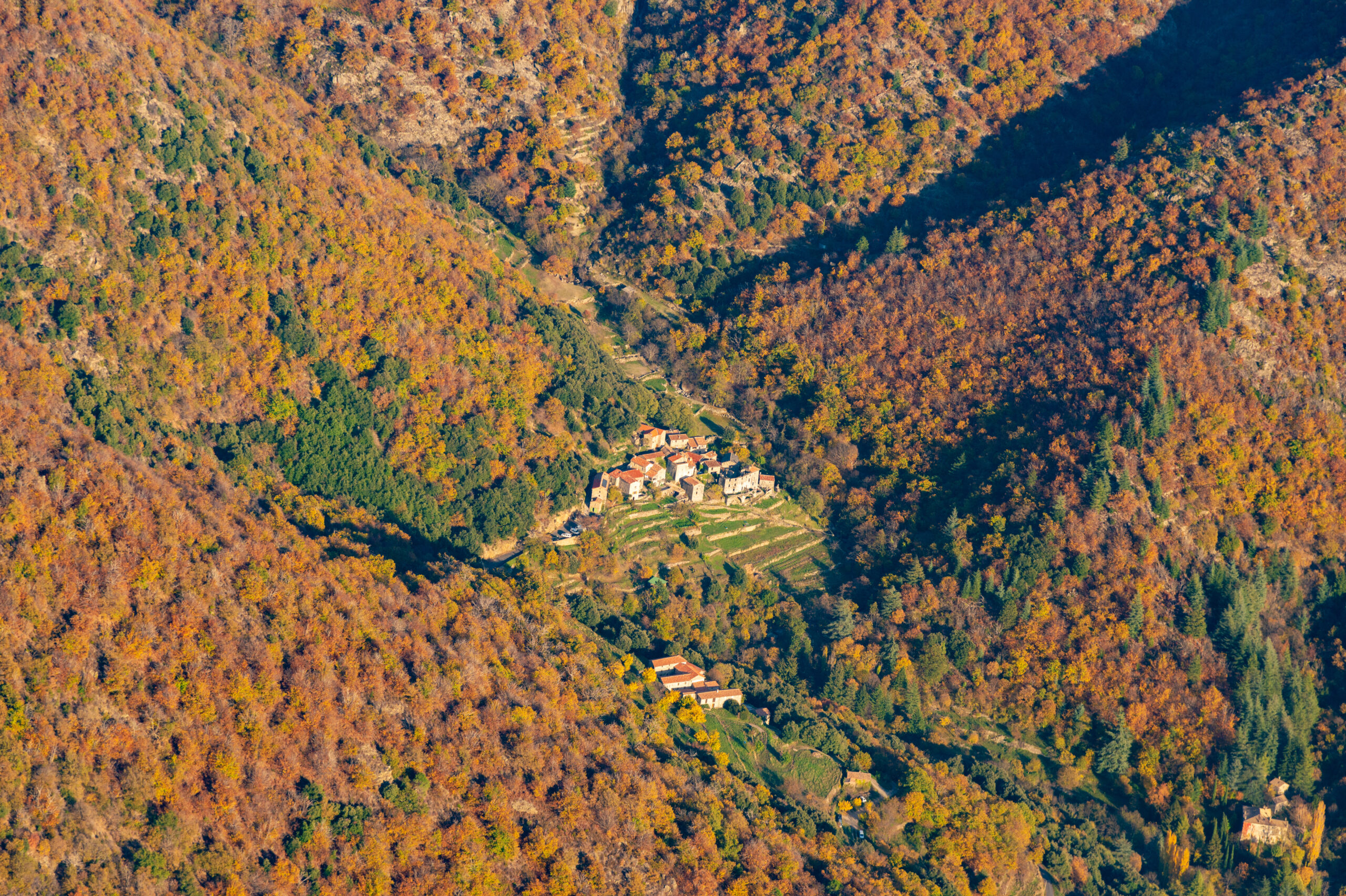 Camargue_2022_chevaux_portrait